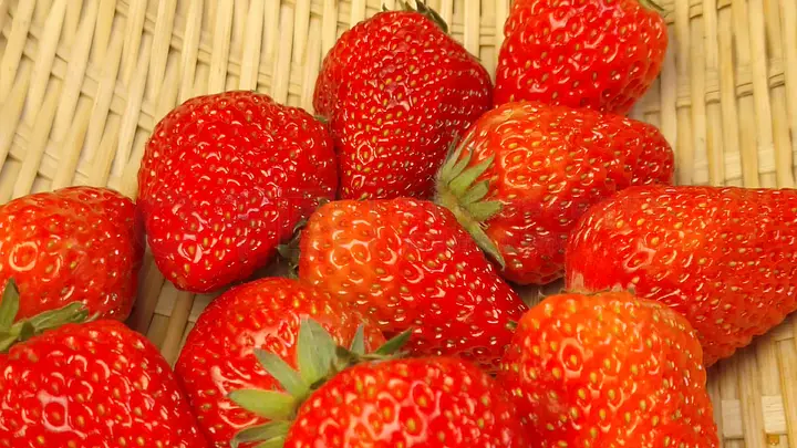 经常视频 看到你提到“经常视频”