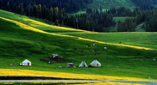 kuzu在线观看 独立短片或网络内容的名称