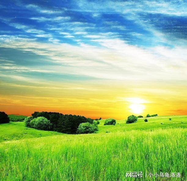 kuzu在线观看 独立短片或网络内容的名称