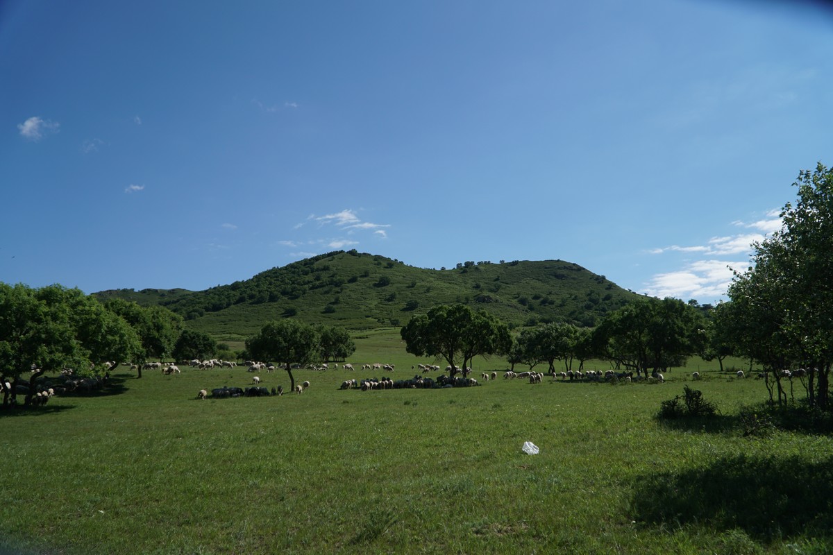 海角社区下载电脑版 集成个性化推荐算法