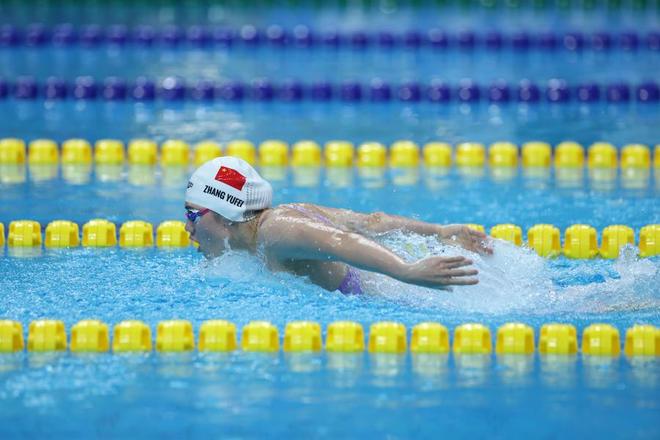 布兰迪啄木鸟 在这次著名的迪啄搜索行动中
