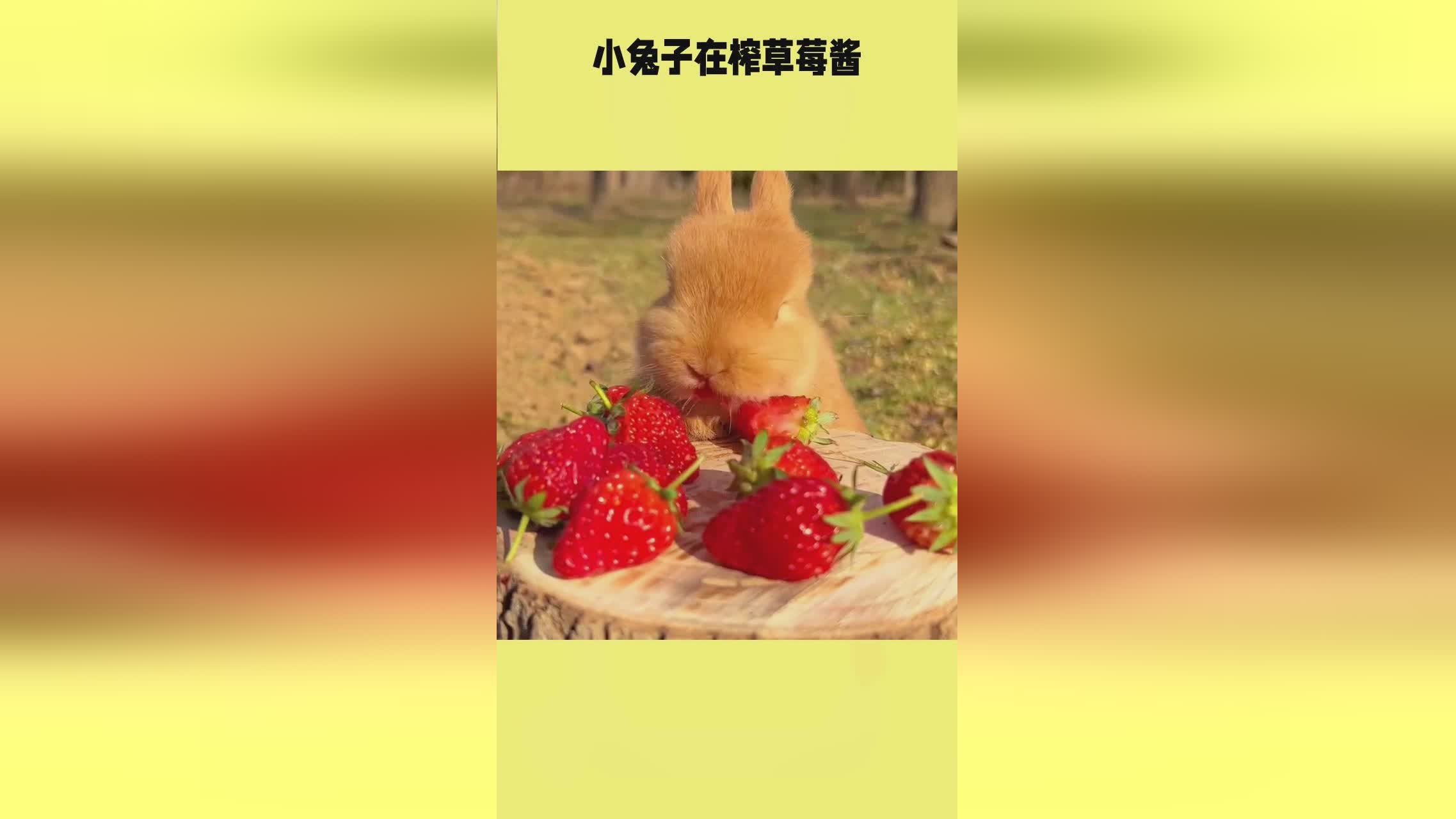 国产精品久久久久久吹潮