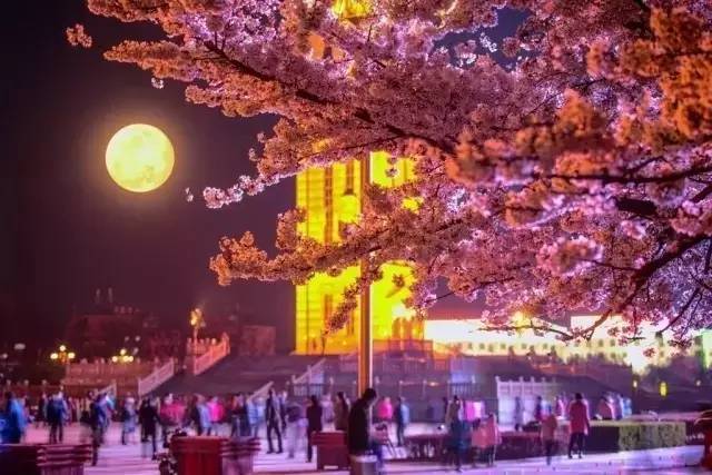 里蕃动漫 需要特别说明的蕃动漫是