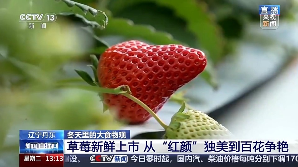 花蝴蝶论坛DISCUZ 论坛的花蝴会员来自五湖四海