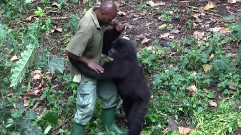 吃瓜研究社官网 这里是社官一个理想的选择