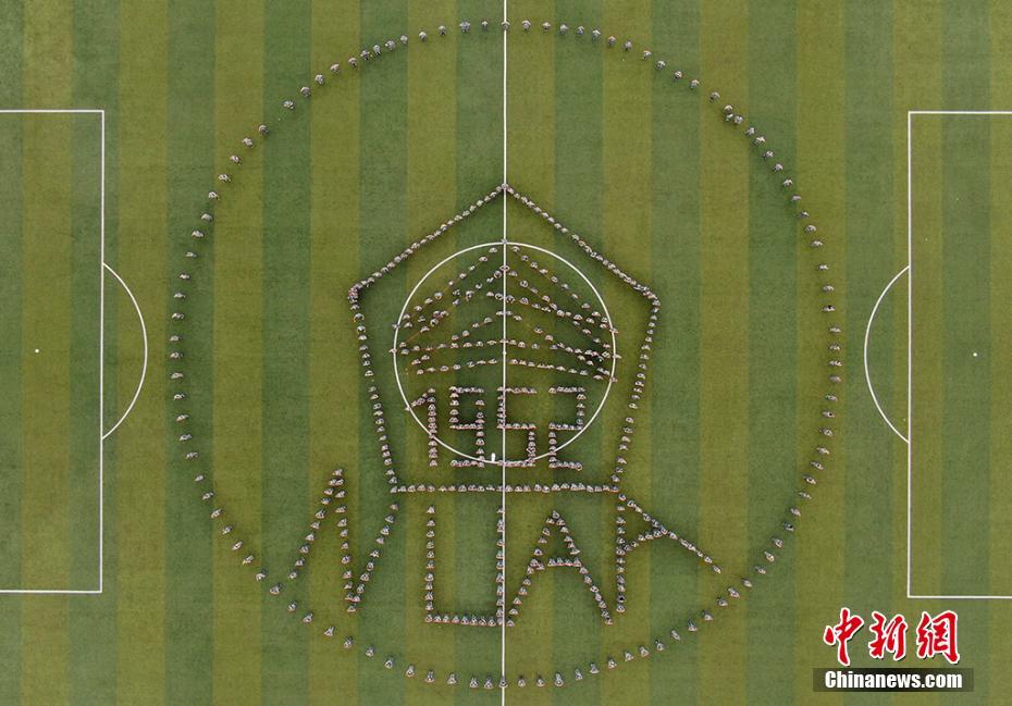 m啄木鸟 啄木鸟我很乐意为您提供帮助