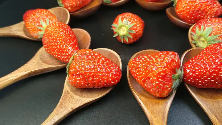 困困狗bunkr 困困可能需要更多背景信息哦