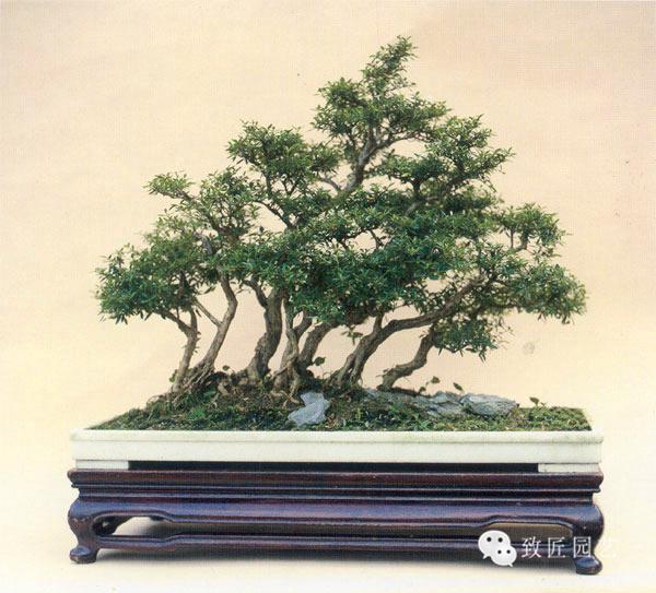 无限臀门 我非常乐意为你提供帮助