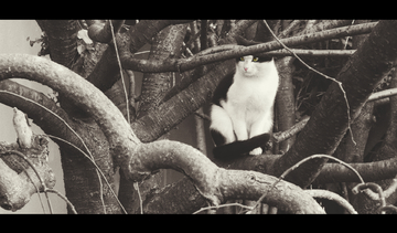 日批电影 我非常乐意为你提供帮助