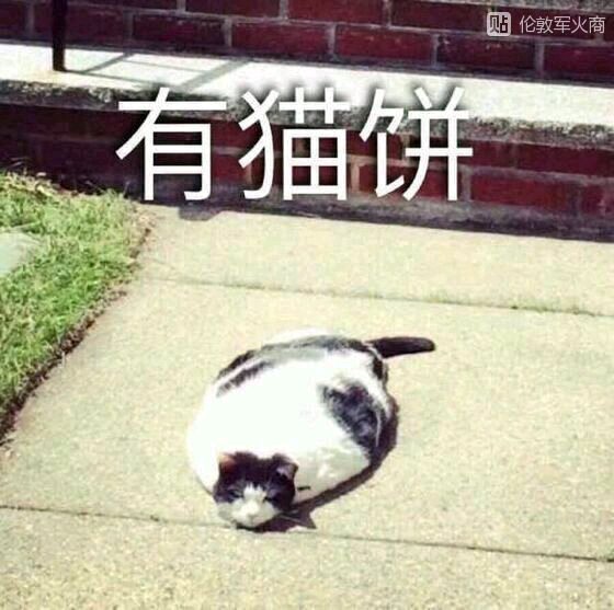 久久国产精品久久精品 久久精品久久精品对不起