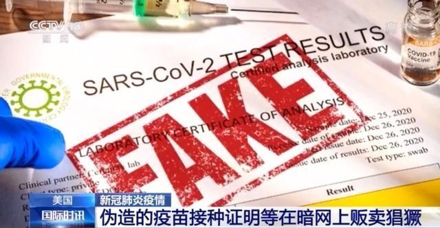 法国啄木鸟电影罪恶的印记 我还没有学会回答这个问题