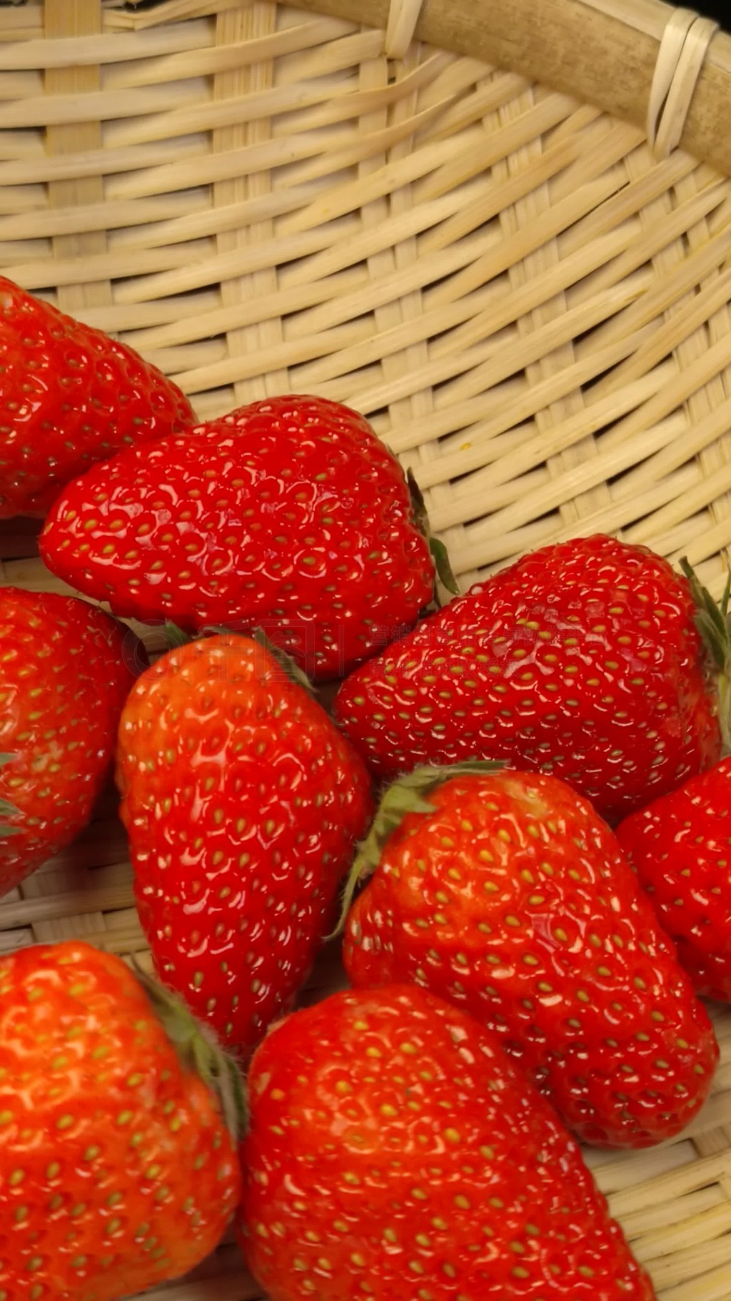 countboyf动漫 内容涉及直白的性描写