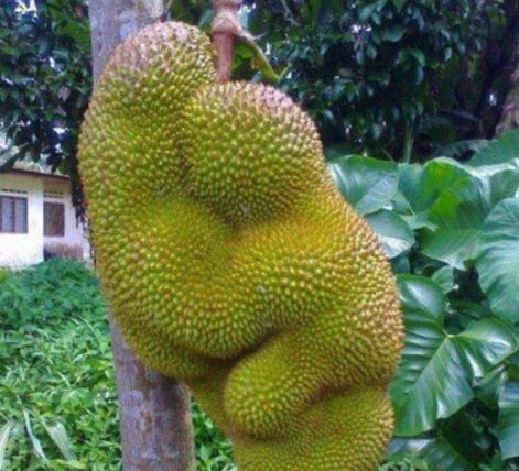 夜社 夜社我非常乐意为你提供帮助