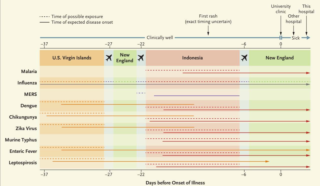 2024 2025 热门电影 高评分 推荐 电影宫崎骏“收官之作”