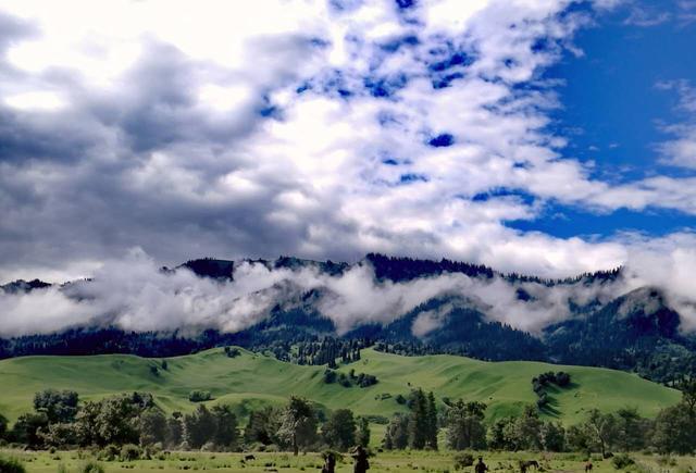 困困狗u 看起来你提到了“困困狗u”
