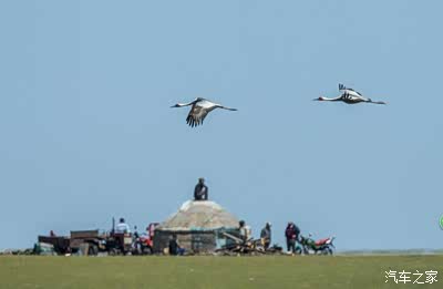 亚州国产精品无码久久久 