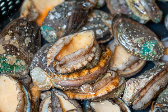 小宝rouvideo 我很乐意为你提供支持