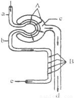 高高的抬深深的埋别让大兔子爬出来 就是高高做事要扎实