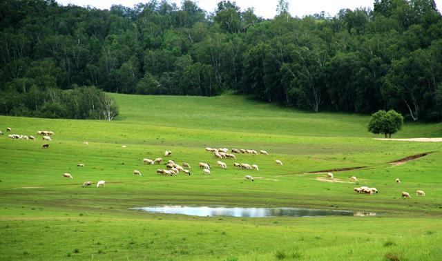 韩国人形指南在线观看 指南高清的线观观影体验