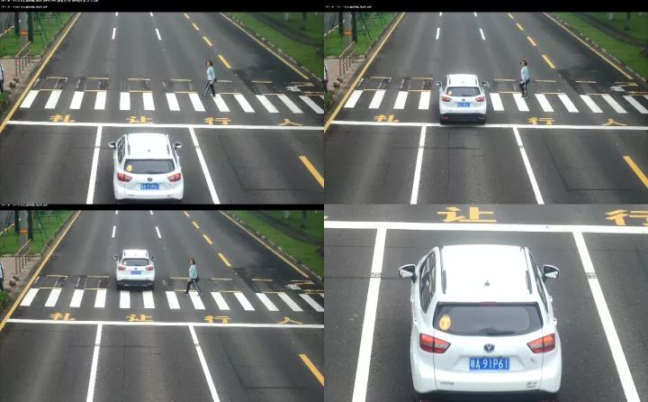 蜜芽tv最新 我还没有学会回答这个问题