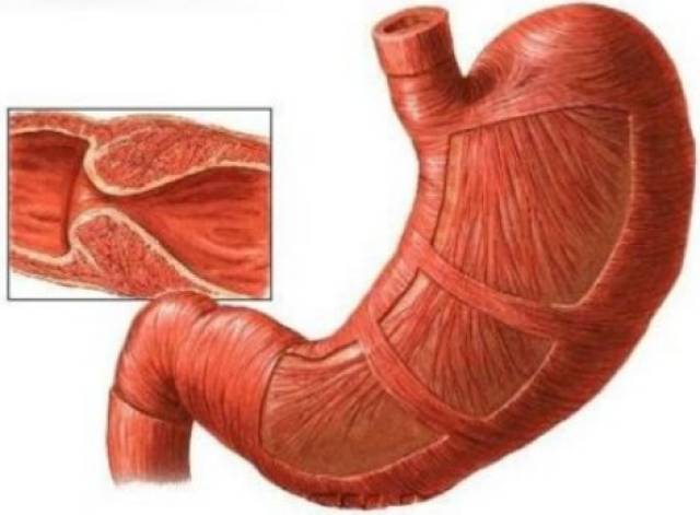 久久精品国产精品亚洲蜜月 亚洲他们用的蜜月资源
