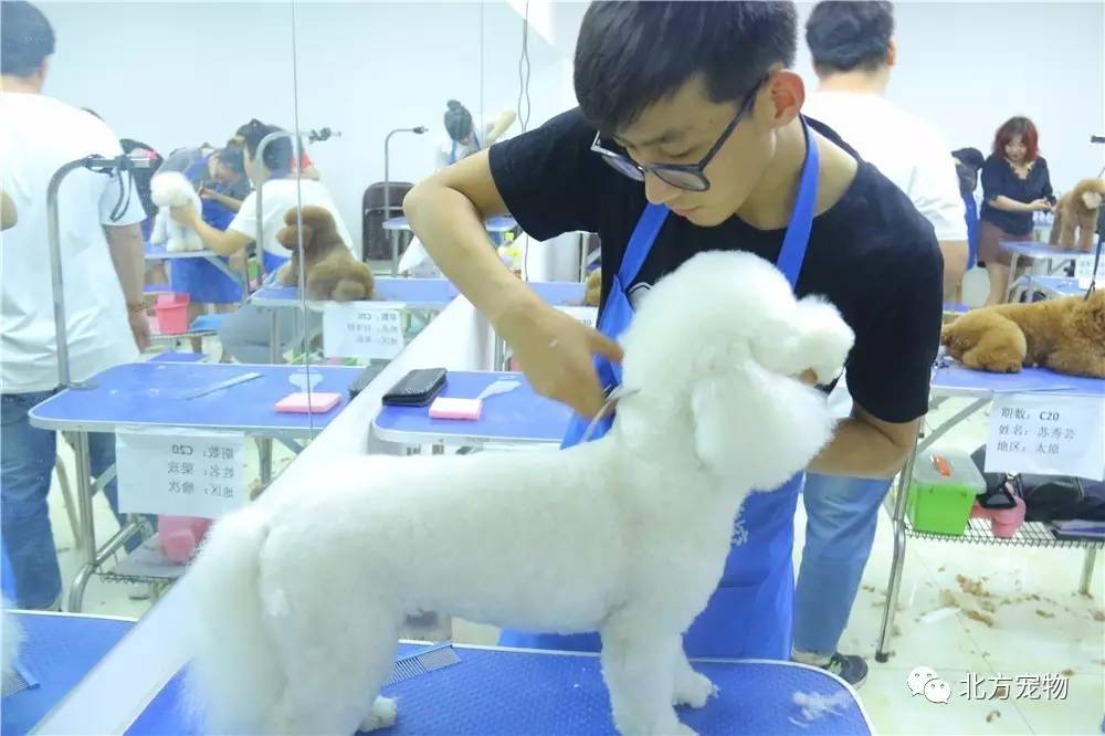 2021国内精品久久久久精免费