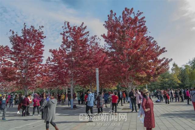 3d动漫黄色视频 漫黄我会很乐意为你提供支持