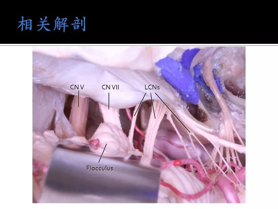 无限臀山580 🔍无限臀山无限臀山