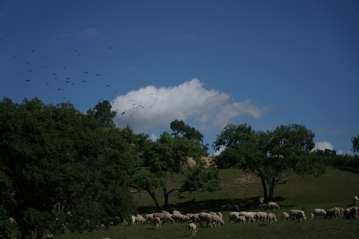 日本短视频 用户偏年轻女性）等
