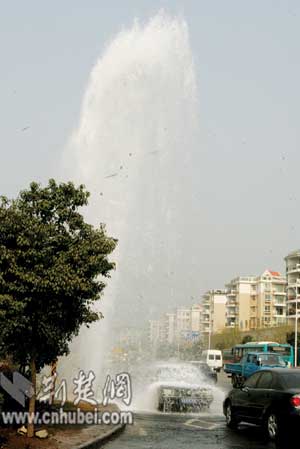 棒球队缺人里番 角色众多且个性鲜明