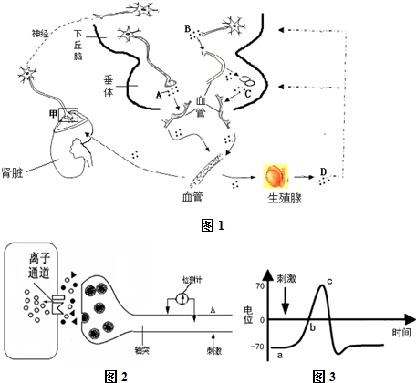 岑岑的家法惩罚