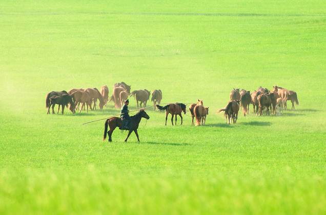 瓜老师的笔记地址大全 地址大全有效拓展学习边界