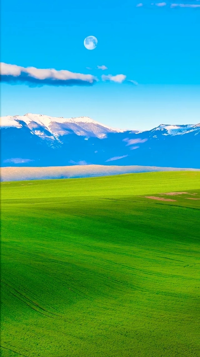 日本高清一二三区视频在线 但也需要用户保持警惕