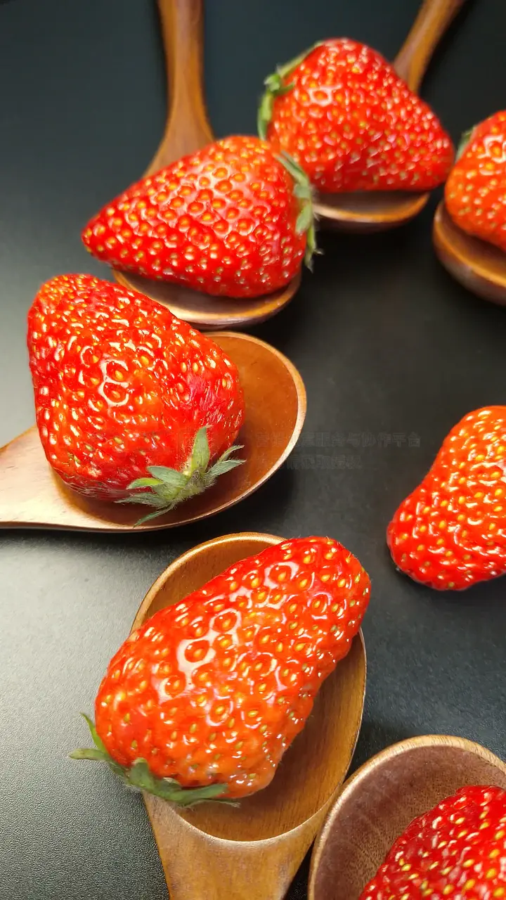 TOBU8美国24 美国直接解决日常烦恼