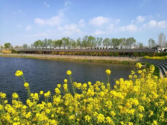 违停被拖走怎么处理 被拖建议提前准备）