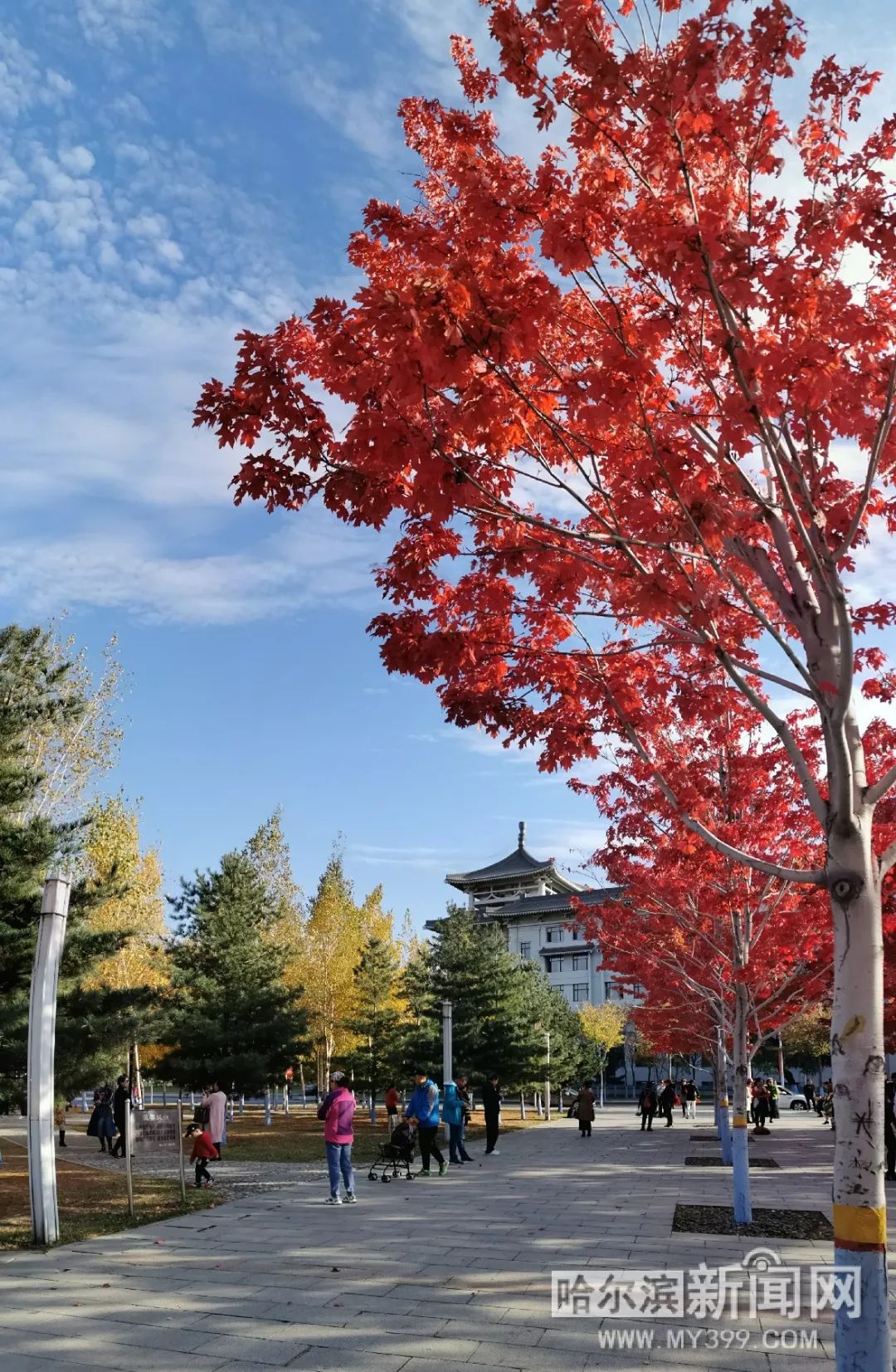 久久99国产精品久久99果冻传媒 “久久”寓意着长久与稳固