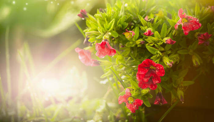 99九九精品毛片免费播放高潮 精品和谐的毛片免费网络环境