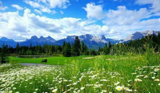 野草社区在线观看