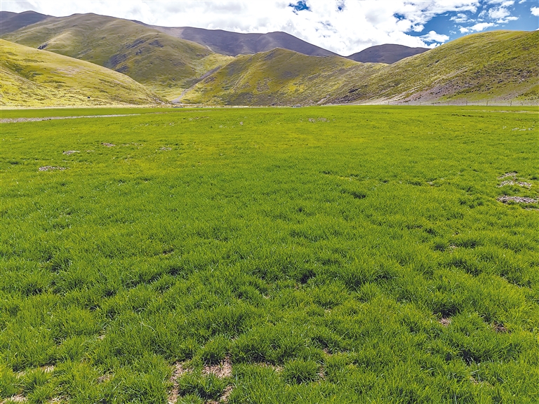 亚洲va国产欧美日韩精品