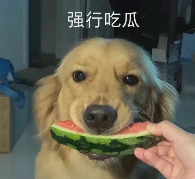 51视频下载 视频下载过程较复杂