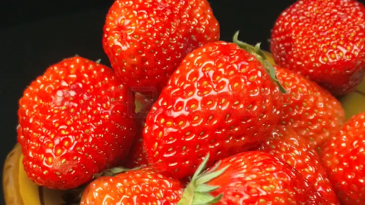 困困狗 only “only”可以延伸为系列主题