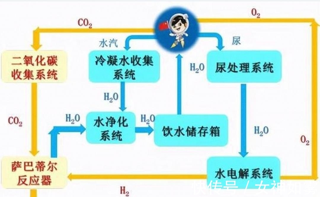 小女孩在线资源 互联网不是小女法外之地