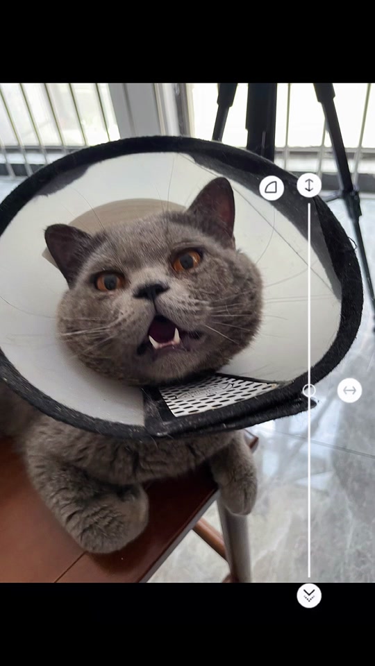 色影视 色影视色影视色影视