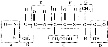 国产天堂 以东方玄幻世界观为基底