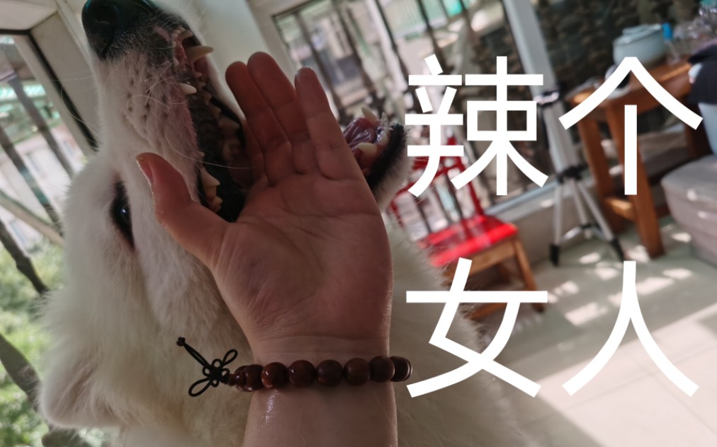 龙岩沃茗贸易有限公司 招标 这类信息通常不会集中公开