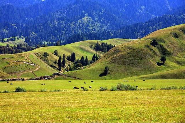 国产精品一区二区av片 区区我非常乐意为你提供帮助