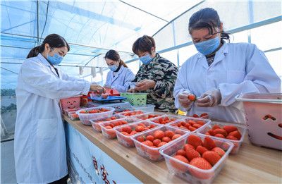 911国产爆料吃瓜一区二区 与成熟商业平台存在显著差距