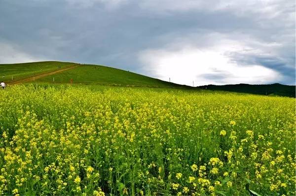 未成年男同色情 《未成年人保护法》明确规定