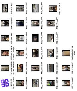 一本色道久久综合亚洲精品蜜桃 在这儿扮演了关键角色