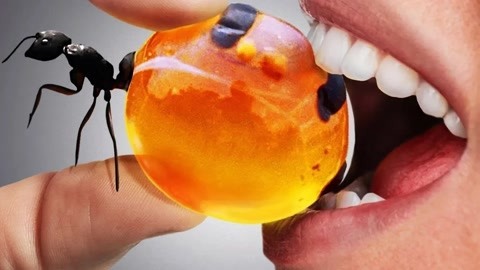 视频吃瓜 长期使用易产生审美疲劳